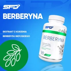 BERBERYNA 90 tabletek