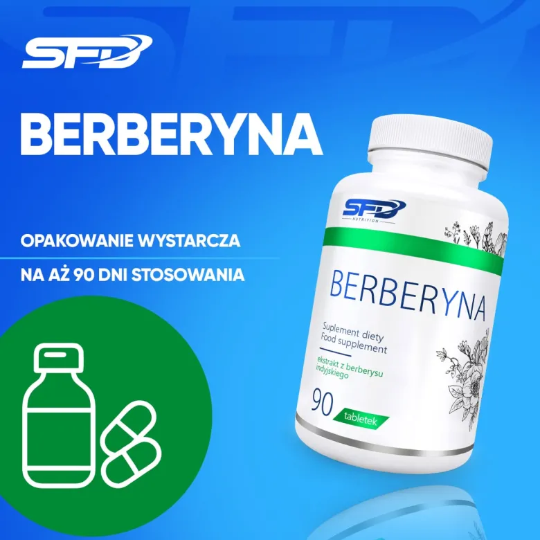 BERBERYNA 90 tabletek
