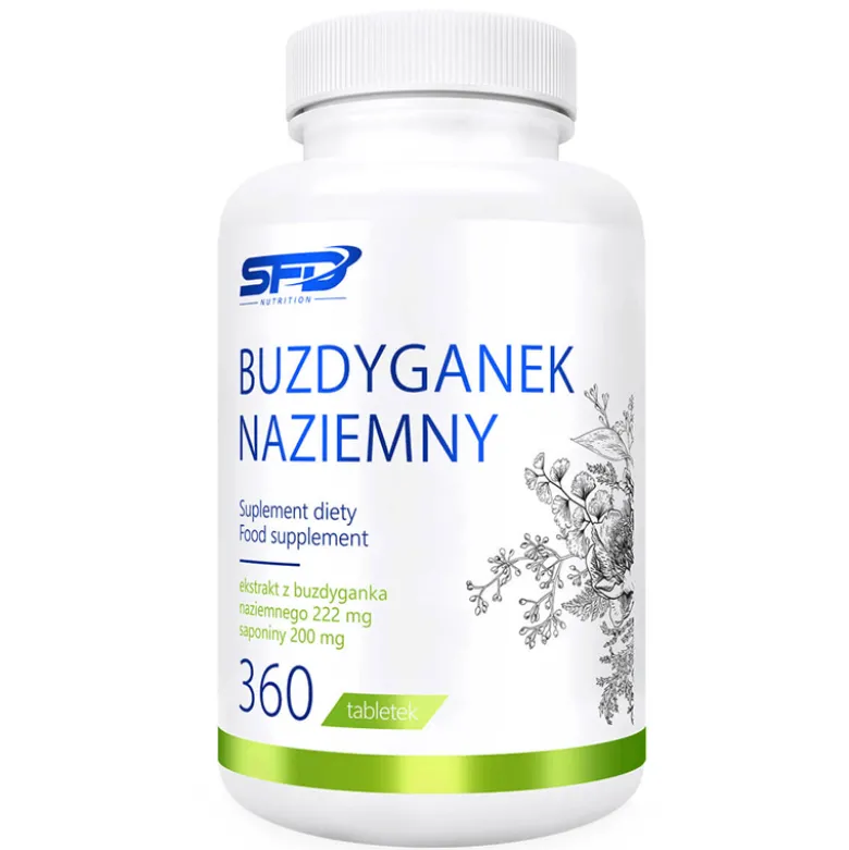 BUZDYGANEK NAZIEMNY 360 tabletek