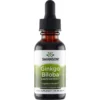 Ginkgo Biloba Liquid Extract 29,6ml