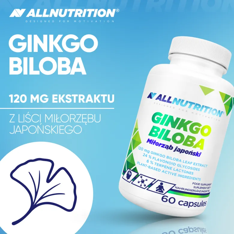 Ginkgo Biloba Miłorząb japoński 60 kapsułek