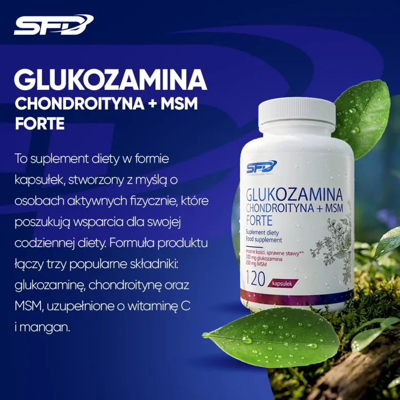 Glukozamina Chondroityna + Msm Forte 120 kapsułek