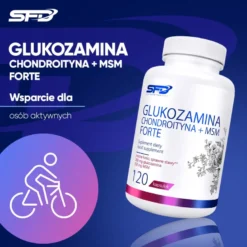 Glukozamina Chondroityna + Msm Forte 120 kapsułek