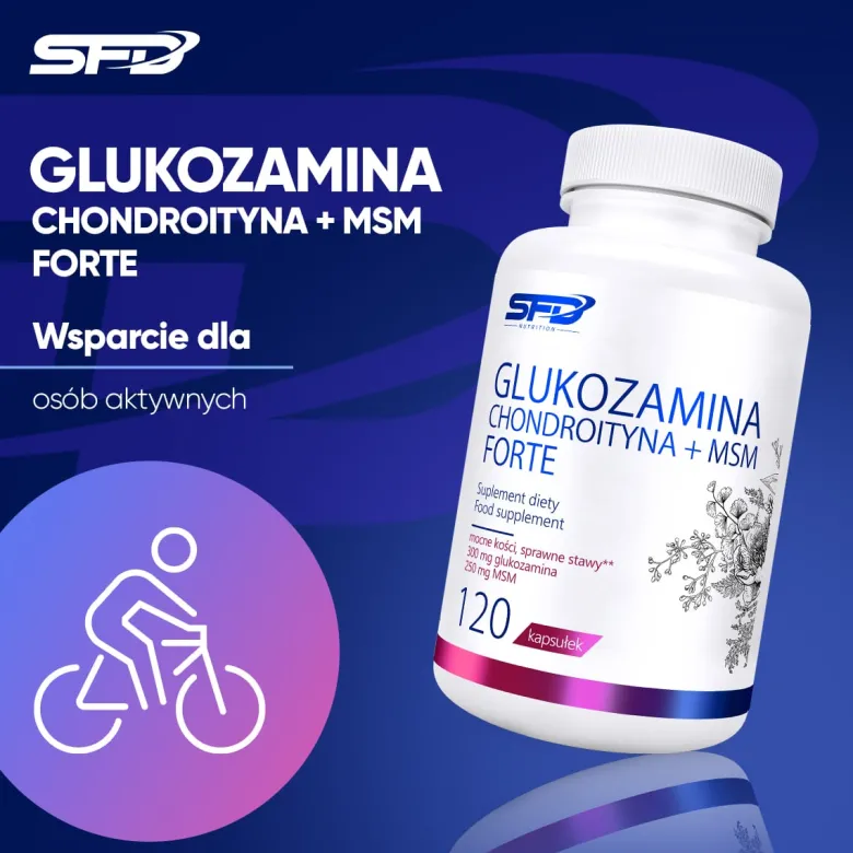 Glukozamina Chondroityna + Msm Forte 120 kapsułek
