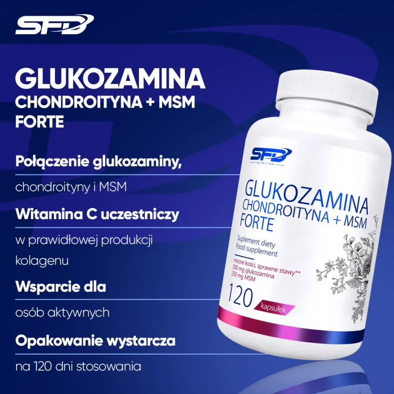 Glukozamina Chondroityna + Msm Forte 120 kapsułek