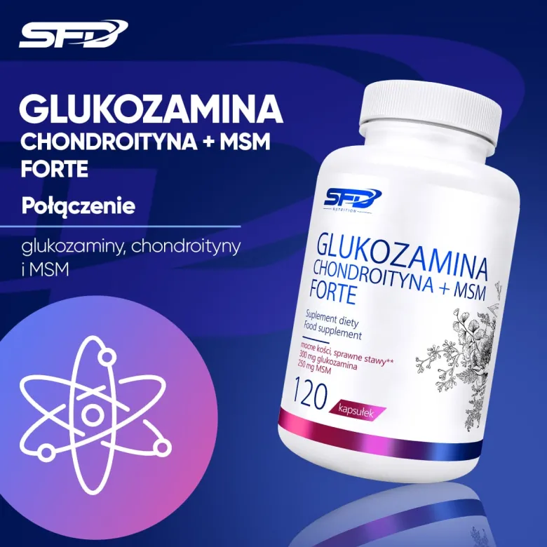 Glukozamina Chondroityna + Msm Forte 120 kapsułek