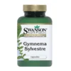 Gymnema Sylvestre 100kap.