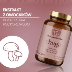 Mushrooms Chaga 60 kapsułek