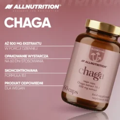 Mushrooms Chaga 60 kapsułek
