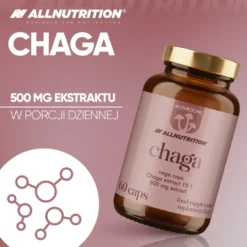 Mushrooms Chaga 60 kapsułek