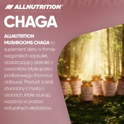Mushrooms Chaga 60 kapsułek