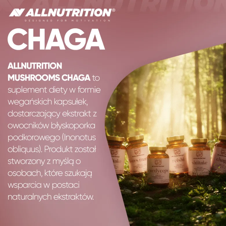 Mushrooms Chaga 60 kapsułek