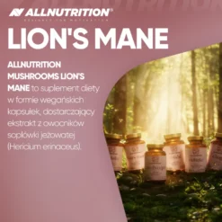 Mushrooms Lion's Mane (Soplówka jeżowata) 60 kapsułek