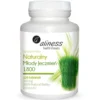 Naturalny Młody Jęczmień 1800 120 tab